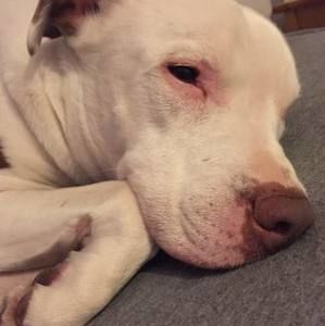 Meet your Posher, Isaac